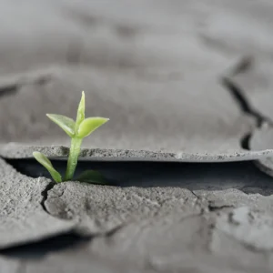 Vorsprung durch Resilienz 12. + 19. März 2025