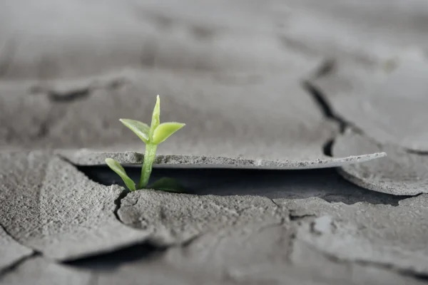 Vorsprung durch Resilienz 12. + 19. März 2025